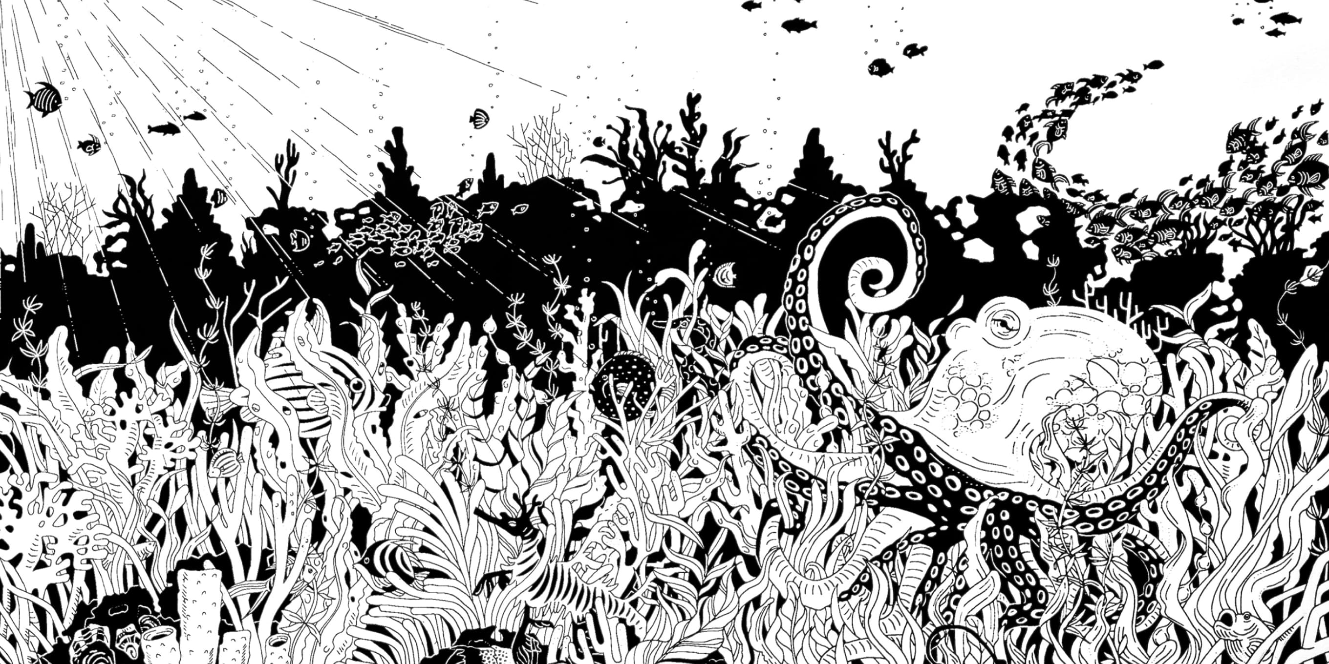 Hero illustration - Poulpe